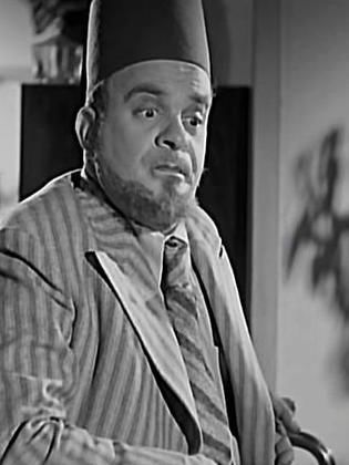 فوزي الجزايرلي