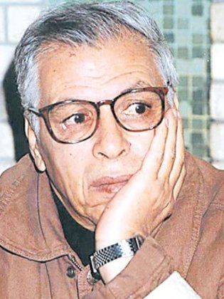 نسرين جمال الدين